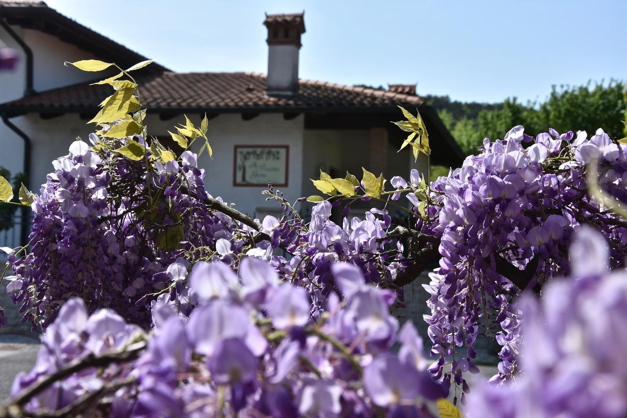 Gábria Al Vecchio Glicine B&B 외부 사진